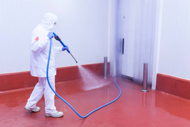 Best Driveway Cleaning and Restoration in Dupo, IL